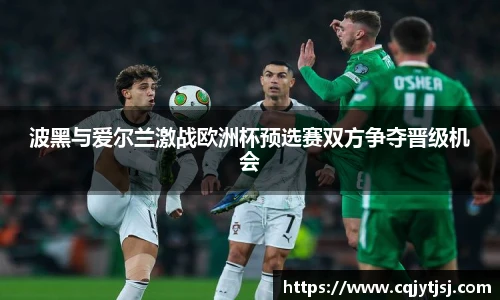 波黑与爱尔兰激战欧洲杯预选赛双方争夺晋级机会